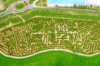 304am永利集团官网(中国)有限公司-Official Website